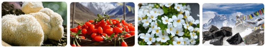 Neura Supplement Ingredients