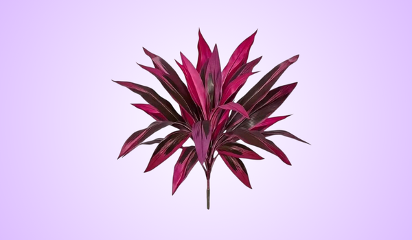 Somnera Artificial Dragon's Blood Tree Plants Reviews